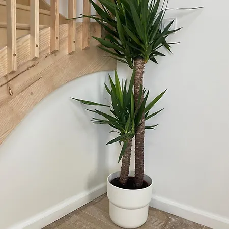 Lejlighed L Magnifique Duplex Climatise Sète