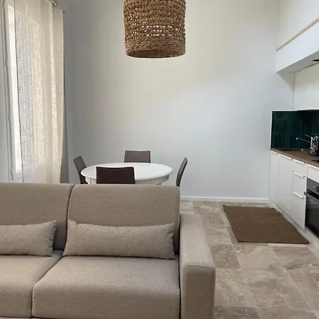 L Magnifique Duplex Climatise *