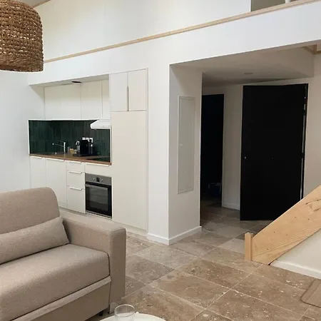 L Magnifique Duplex Climatise *