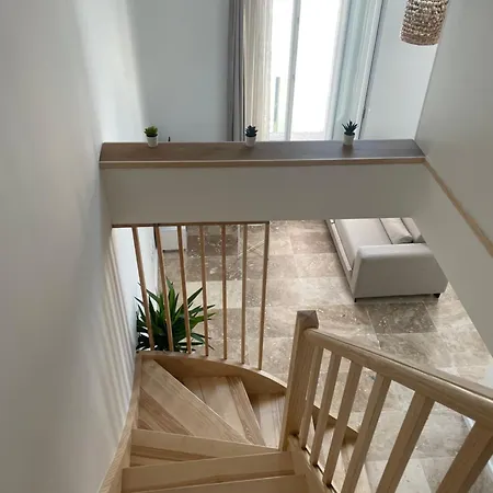 L Magnifique Duplex Climatise Apartment *