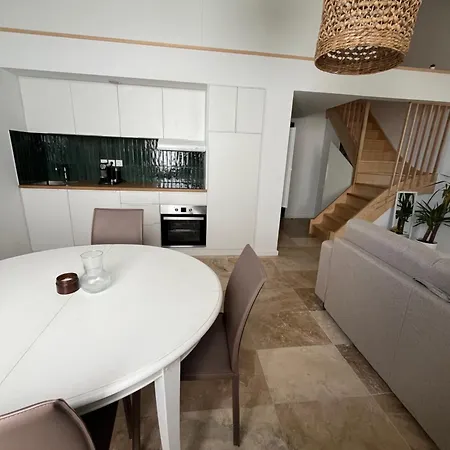 L Magnifique Duplex Climatise *
