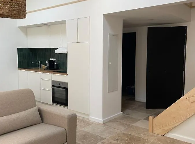 L Magnifique Duplex Climatisé *